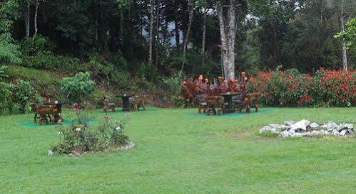 Dew Drop Inn تاناه راتا المظهر الخارجي الصورة
